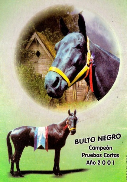 Bulto Negro